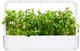 Wkład wymienny Click&Grow Mięta jabłkowa 3 kapsułki (4742793001814) - obraz 3