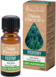 Olejek eteryczny Vera Nord Naturalny pichtowy 10 ml (5908282460404) - obraz 1