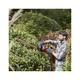 Кусторез Black&Decker BEHTS501 - изображение 4