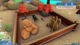 Ключ активации ZooKeeper для Xbox One/Series S/X - изображение 5