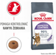 Sucha karma dla dorosłych kotów Royal Canin Appetite Control Care Kontrola apetytu 400 g (3182550920414) - obraz 5