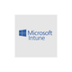 Офісний додаток Microsoft Intune Storage Add-on P1Y Annual License (CFQ7TTC0LCH4_0006_P1Y_A) - зображення 1