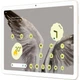 Планшет Google Pixel Tablet 8/128GB Porcelain JP [99255] - изображение 2