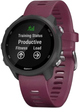 Zegarek sportowy Garmin Forerunner 245 Berry (753759225889) - obraz 1