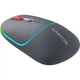 Мышка Canyon MW-22 Dual Band RGB Wireless Dark Grey (CNS-CMSW22DG) - изображение 2