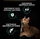 Сухой корм для взрослых кошек Purina Pro Plan Cat Adult Renal Plus Chicken с курицей 1,5 кг - изображение 4