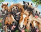 Картина по номерам Brushme Селфи лошадок 40x50 см BS52662 - изображение 1