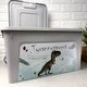 Великий контейнер із кришкою для зберігання 27 л Smart Box Динозавр Алеана - зображення 4
