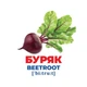 Набор развивающих карточек Гений с пеленок "Овощи" Ранок 10107194У, 17 карточек - изображение 3