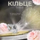 Кольцо с проекцией I love you на 100 разных языках мира, Женское кольцо Я тебя люблю Серебро - изображение 2