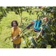 Плодосъемник Gardena Combisystem FruitPicker (03115-20.000.00) - изображение 3