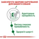 Корм для дорослих собак малих порід ROYAL CANIN MINI ADULT - 0,8 кг - изображение 4