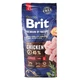 Корм сухий Brit Premium Dog Junior Large Chicken курка для молодих собак великих порід 25-45 кг, 15кг арт.170824/526437 - зображення 3