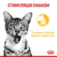 Влажный корм Royal Canin Sensory Taste in gravy для котов привередливых 85 г (арт 1518001) - изображение 3