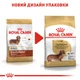 Корм для дорослих собак ROYAL CANIN DACHSHUND ADULT 1.5 кг - зображення 6