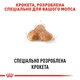 Корм для дорослих собак породи Мопс ROYAL CANIN PUG ADULT 1,5 кг (3985015) - изображение 4