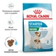 Сухий корм для новонароджених цуценят мініатюрних порід ROYAL CANIN MINI STARTER 8 кг (2990080) - изображение 2