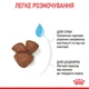 Сухий корм для новонароджених цуценят мініатюрних порід ROYAL CANIN MINI STARTER 8 кг (2990080) - изображение 5