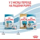 Сухий корм для новонароджених цуценят мініатюрних порід ROYAL CANIN MINI STARTER 8 кг (2990080) - изображение 6