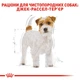 Корм для дорослих собак породи Джек-Рассел-тер'єр ROYAL CANIN JACK RUSSEL ADULT 7,5 кг (21000759) - изображение 3