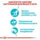 Влажный корм Royal Canin Urinary Care Gravy для котов здоровье мочевыделительной системы 85 г (арт 41570019) - изображение 4