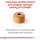 Корм для цуценят ROYAL CANIN LABRADOR PUPPY 12,0 кг (249112019) - изображение 3