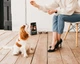 Сухий корм Savory Puppy для цуценят усіх порід, зі свіжою індичкою і куркою - 1 кг - изображение 5