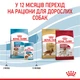 Корм для цуценят середніх порід ROYAL CANIN MEDIUM PUPPY 4,0 кг (30030400) - изображение 7