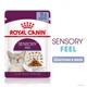 Вологий корм Royal Canin Sensory Feel in jelly для котів вибагливих 85 г (арт 15290010) - зображення 2