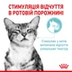 Вологий корм Royal Canin Sensory Feel in jelly для котів вибагливих 85 г (арт 15290010) - зображення 3