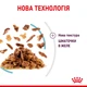 Вологий корм Royal Canin Sensory Feel in jelly для котів вибагливих 85 г (арт 15290010) - зображення 5