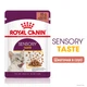 Влажный корм Royal Canin Sensory Taste in gravy для котов привередливых 85 г (арт 1518001) - изображение 2