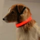 Светодиодный LED ошейник Lesko Red XS USB светящийся для собак и котов - изображение 3