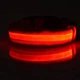 Светодиодный LED ошейник Lesko Red XS USB светящийся для собак и котов - изображение 4