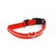 Светодиодный LED ошейник Lesko Red XS USB светящийся для собак и котов - изображение 1