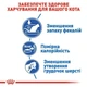Корм Royal Canin INDOOR для кошек в возрасте от 1 года до 7 лет набор корму 2 кг + 4 паучи - изображение 3