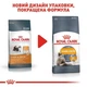 Корм Royal Canin Hair Skin Care с проблемной шерстью набор корму для кошек 2 кг + 4 паучи - изображение 3