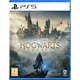 Sony PlayStation 5 Slim 1Tb + Hogwarts Legacy (русские субтитры) - изображение 5