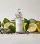 Туалетная вода для мужчин Penhaligon's Blenheim Bouquet 100 мл - изображение 3