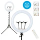 Кольцевая светодиодная лампа LED LJJ-45 Ring Fill Light 45 см, с пультом с штативом 2.1 м - изображение 1