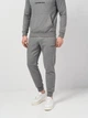 Спортивні штани чоловічі Calvin Klein Jeans 11275.2 2XL (52) Сірі (2000000006529) - изображение 1