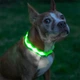 Світлодіодний LED нашийник Lesko Green XS USB для собак і котів світиться - зображення 4