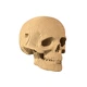 3D пазл «Skull» - изображение 3