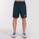 Мужские шорты Joma MAXI темно-синий XS 101657.332 XS - изображение 2