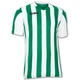 Футболка Joma COPA зеленый,белый XS 100001.450 XS - изображение 1