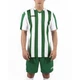 Футболка Joma COPA зеленый,белый XS 100001.450 XS - изображение 2