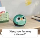 Детская смарт колонка Amazon Echo Dot 5th Generation Kids - Owl (214OL) (Английский язык) - изображение 3