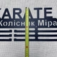Медальниця карате іменна для спортсмена на подарунок - зображення 6