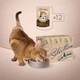 Упаковка вологого корму для дорослих кішок Club 4 Paws Selection Преміум Плюс Шматочки з оселедцем та салакою в желе 80 г х 12 шт. (4820215368285/4820215368025) - зображення 8