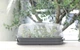 Контейнер для рослин Prosperplast Respana Table Greenhouse DREH400P-405U з кришкою сірий - зображення 3